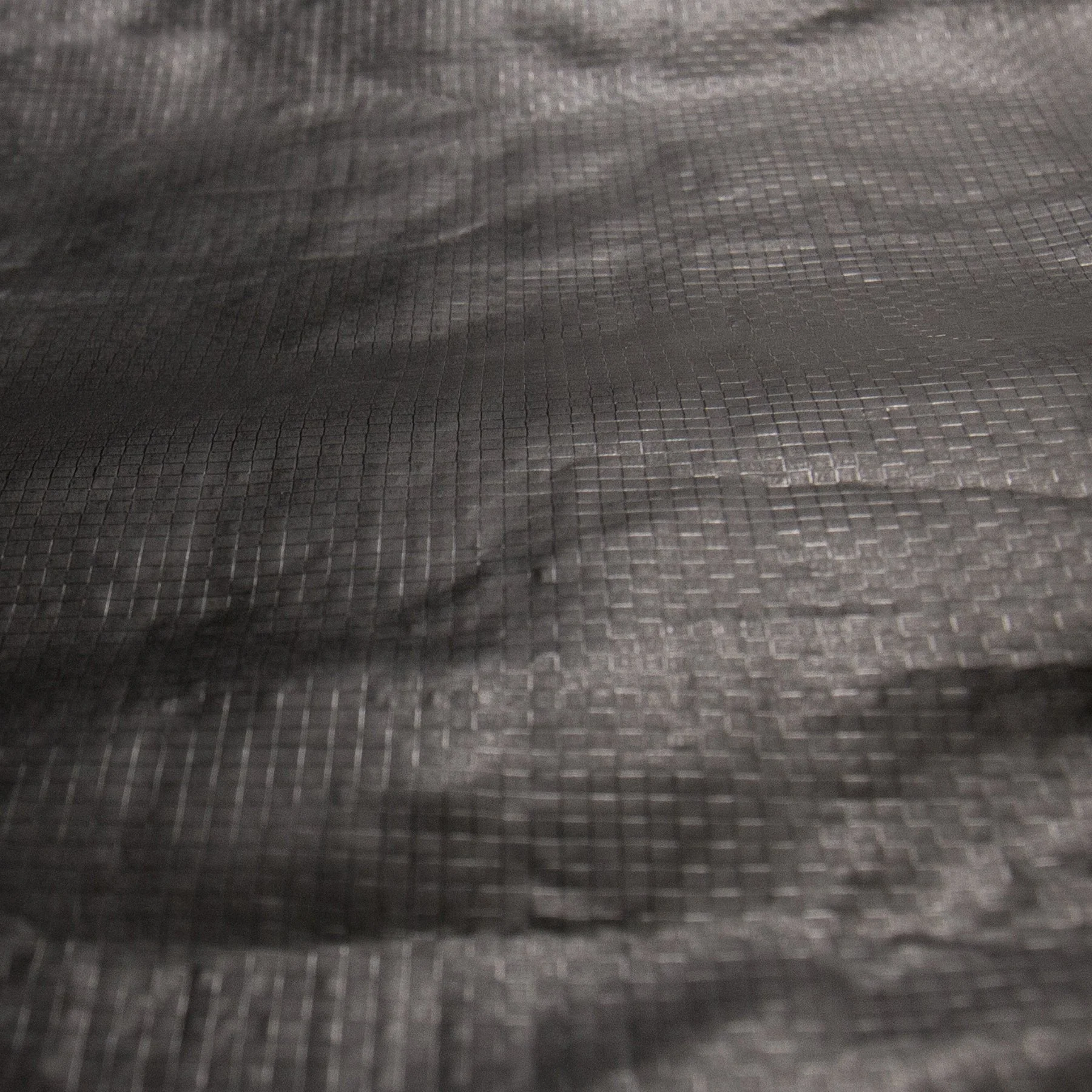 COR_X Fish Day Cover - 1 - Image 9
